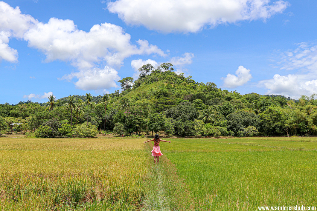 El Nido Palawan Wanderers Hub