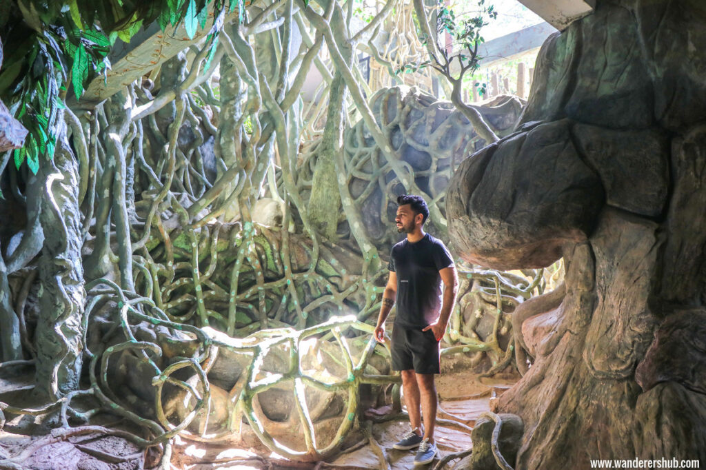 Chandy's Windy Woods Munnar trek