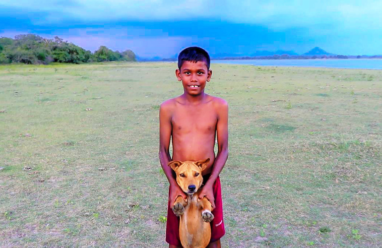 Saraii Village Weerawila Sri lanka