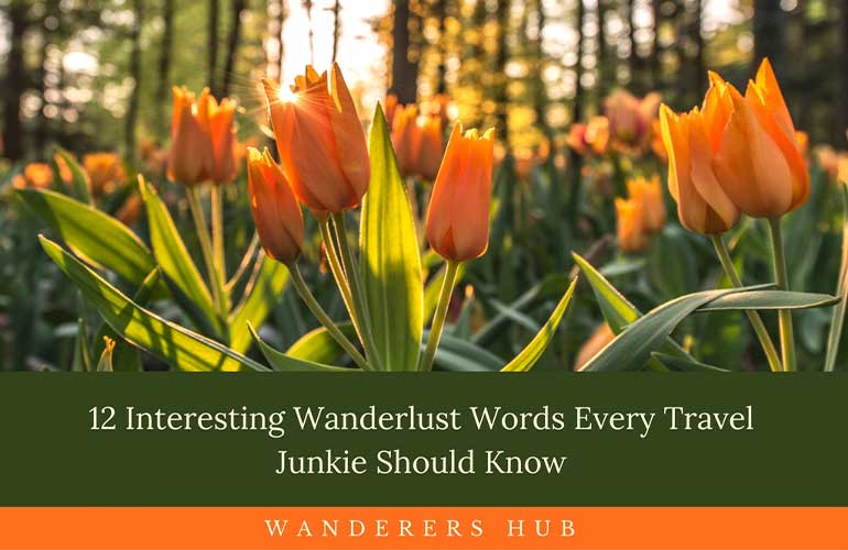 12 Interesting Wanderlust Words Every Travel Junkie Should Know