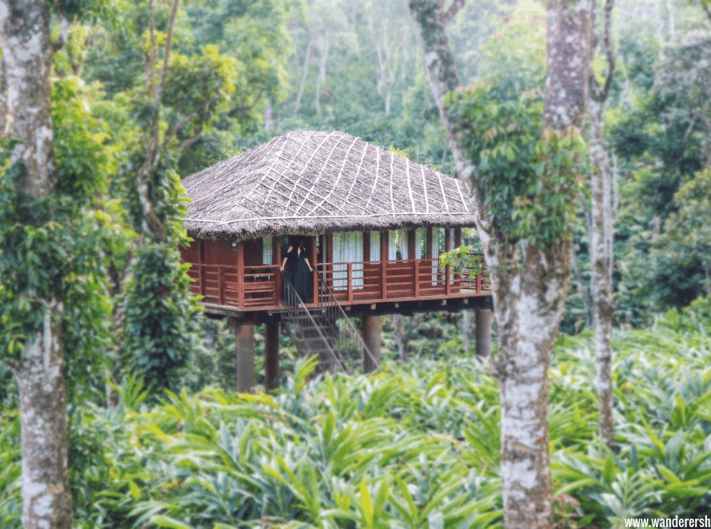 Treehouse in Thekkady