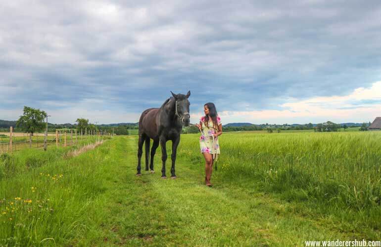 horse riding bavaria