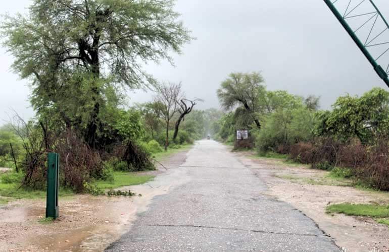 Keoladeo Ghana National Park