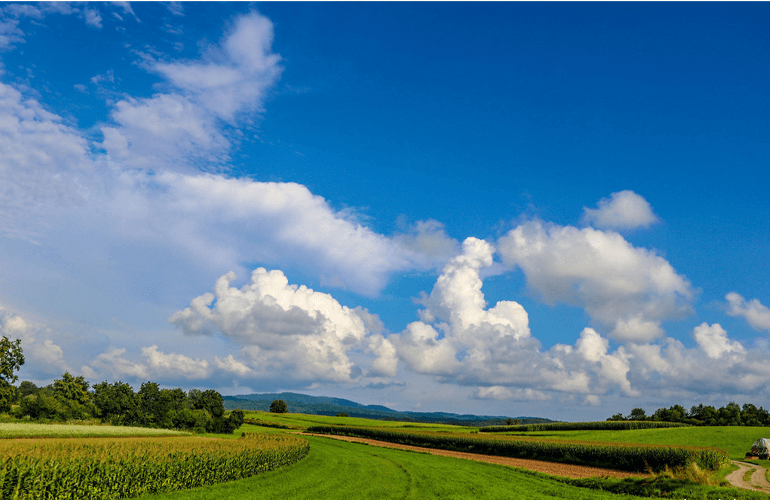 Bela Krajina Slovenia