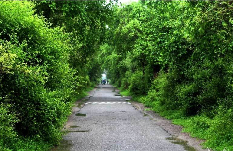 Bharatpur Bird Sanctuary