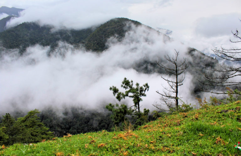 Trip to bhutan