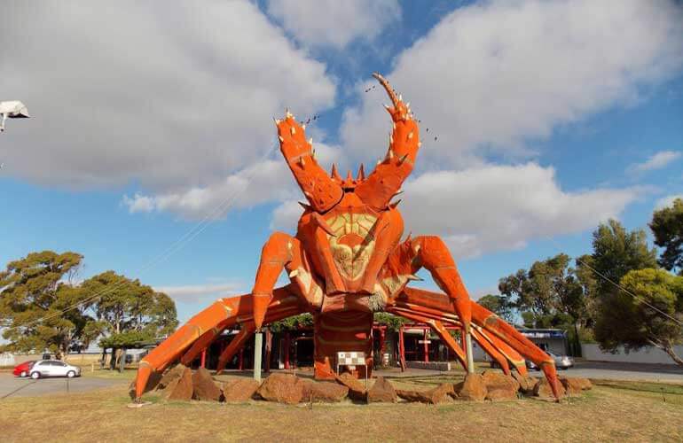 Giant Lobster, Australia