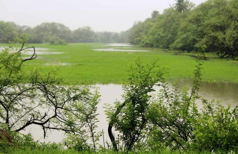 Bharatpur National Park