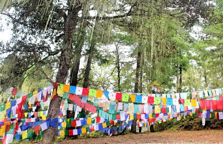 how to travel to bhutan 