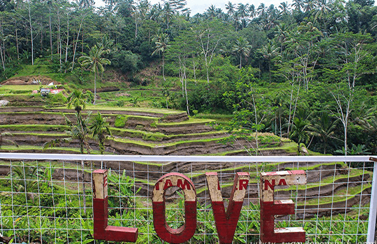 Tegalalang Rice Terrace Bali