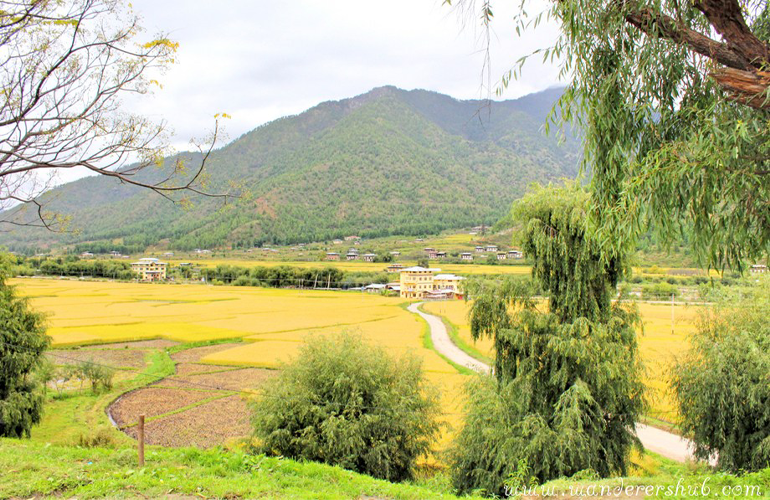 road trip to Bhutan 