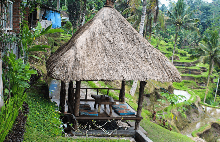 Tegalalang Rice Terrace Bali