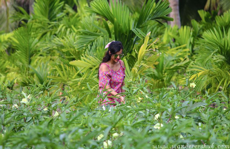 Things to do in Andaman Neil Island