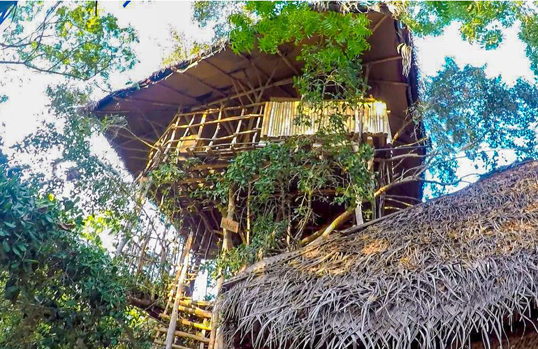 srilankan treehouse