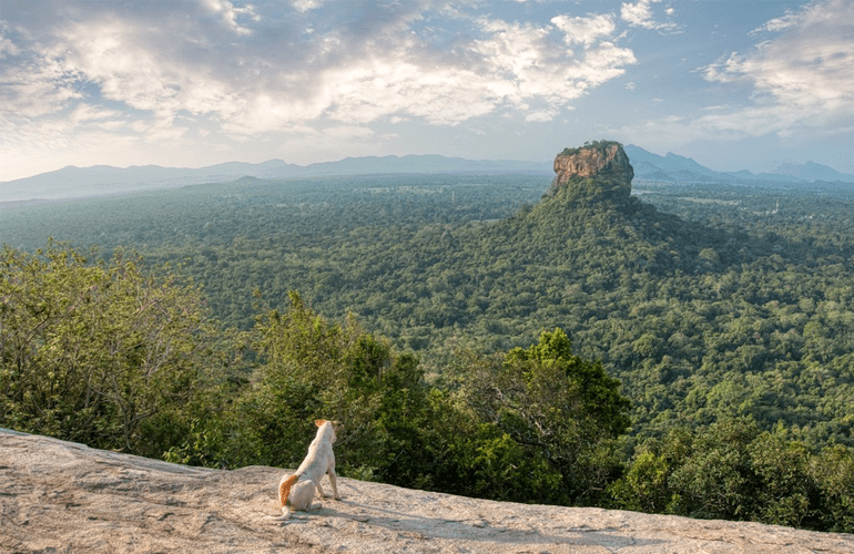 best places to visit in Sri Lanka