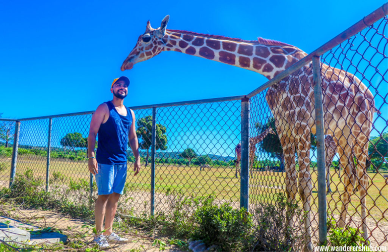 Visit to Calauit Safari Park