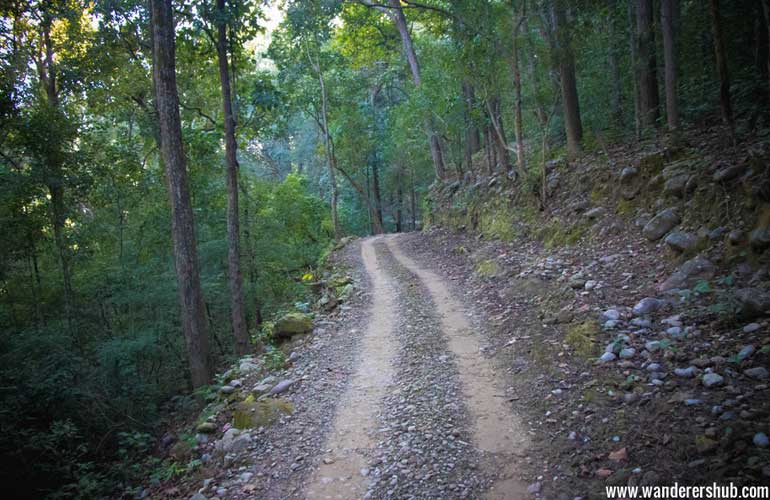 Jim Corbett National Park