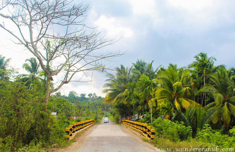 things to do in Havelock Island Andaman