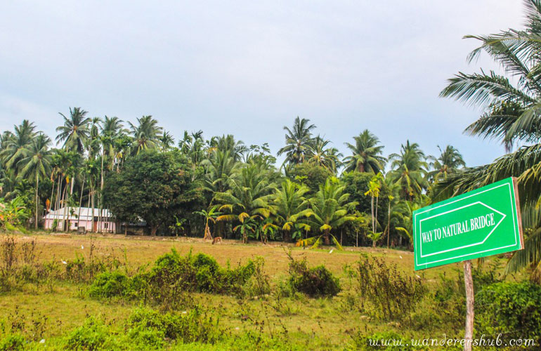 neil island andaman