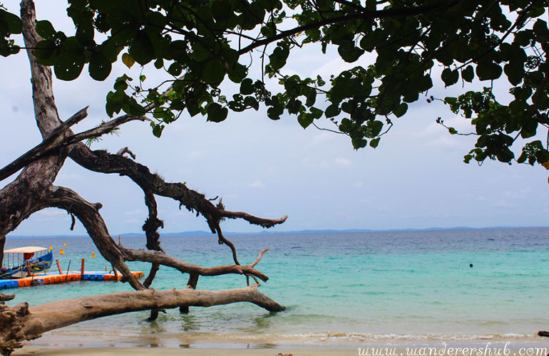 elephant beach havelock island andaman