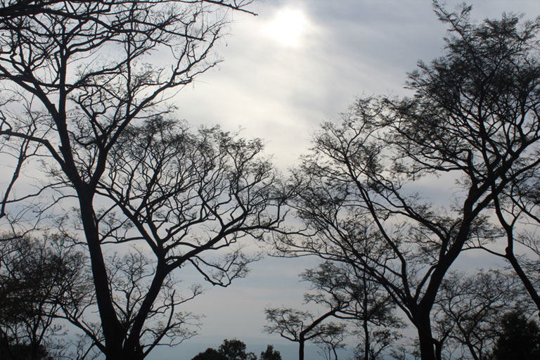 Dharamshala Himachal Pradesh