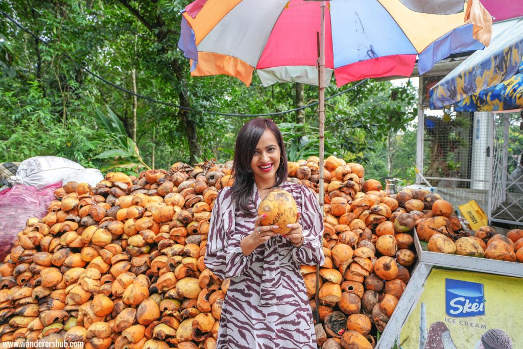 Don't forget to drink coconut water when in Kerala